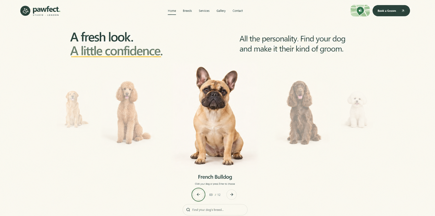 Pawfect Studio London dog grooming website